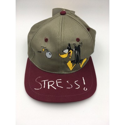 Vintage 90s 1994 Warner Bros Cap Looney Tunes Daffy Duck Snapback Hat  eb-29364205
